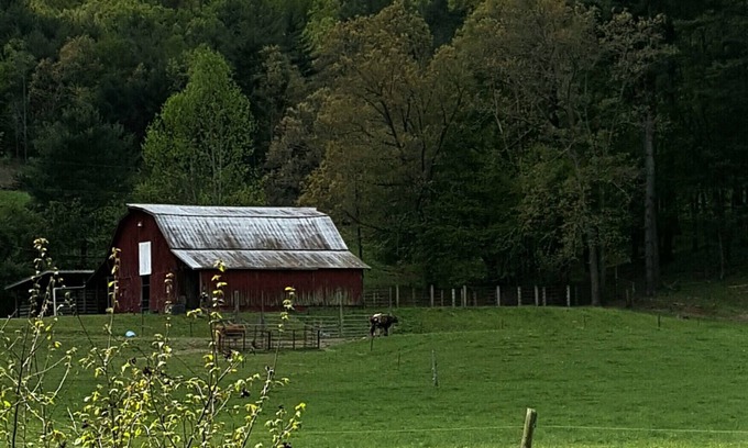 Penrose RV Rental | Campsite #1 ! Private Tent Camping near Dupont!