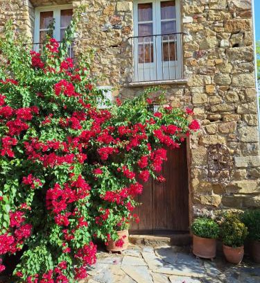 Sales de Llierca House | Can Pedragos