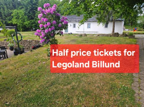 Egtved House | Candy Home