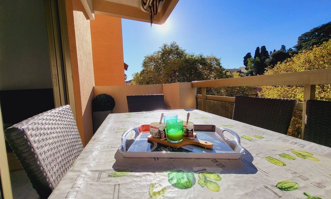 Riou - Petit Juas - Av de Grasse Apartment | Cannes beautiful apartment,4P, A/C, wifi, free parking
