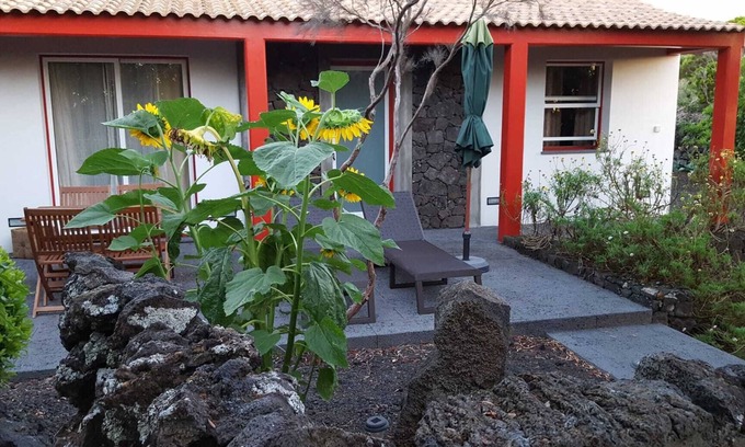 Madalena House | Canopus star house.