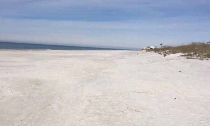Seagrass House | Cape San Blas, FL. Private Heated Pool. Steps to the Beach!
