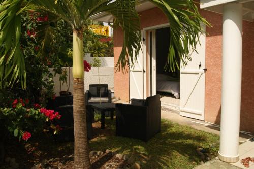 Dampierre Apartment | Caribanou
