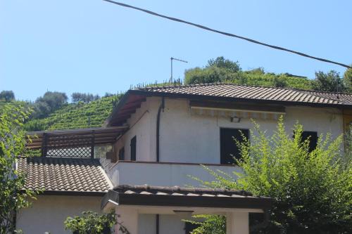 Carrara Apartment | Carpediem