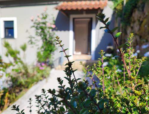 Melgaco House | Casa 1883