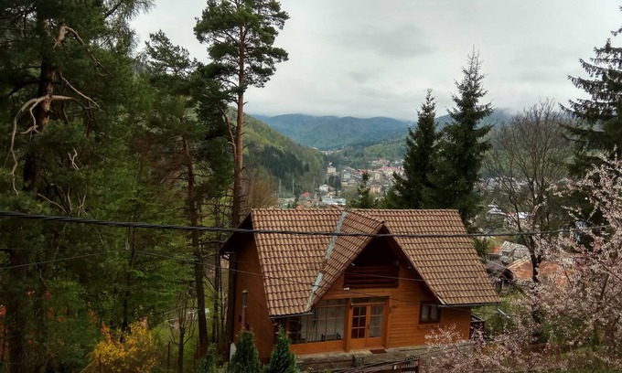 Sinaia House | Casa Adina