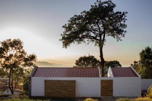 Mazamitla House | Casa Alrededor de un Pino