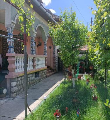 Ocna Mures House | Casa Augustina
