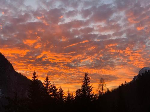 Sella Nevea Apartment | Casa Bambi