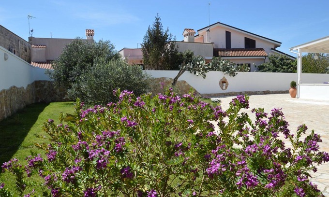 Diso House | Casa Cardignan