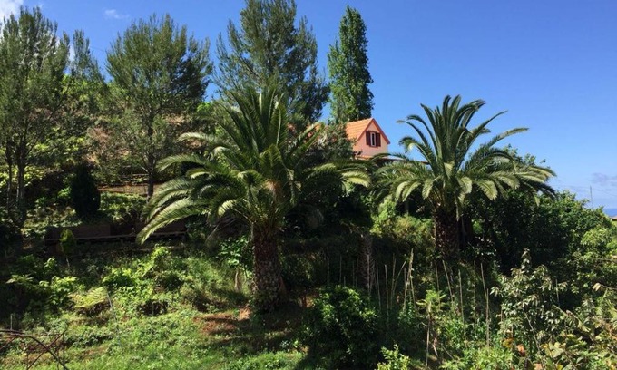 Porto da Cruz House | Casa d'Olívia