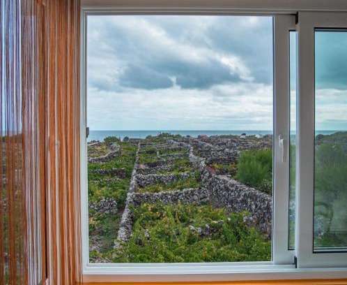 Biscoitos House | Casa da Vinha