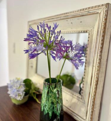 Ribeira das Tainhas House | Casa das Amoreiras