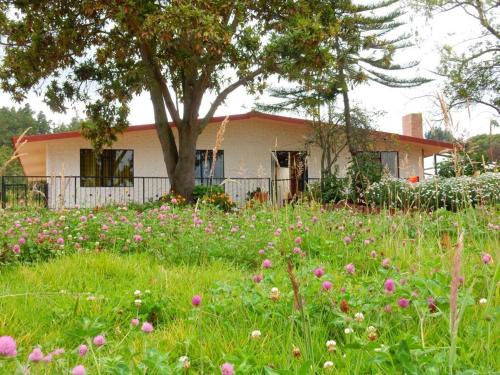 Sotaquira House | CASA DE CAMPO LA ALDANA