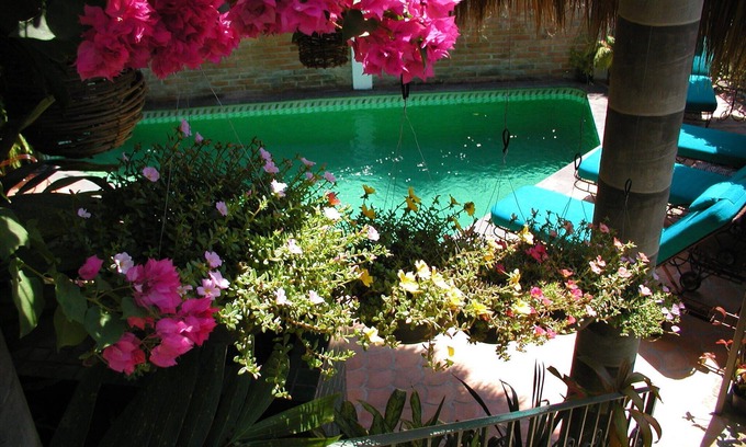 Conchas Chinas Villa | Casa de la Hoja: Lovely Private Villa: Secluded Pool : Perfect Walkable Location