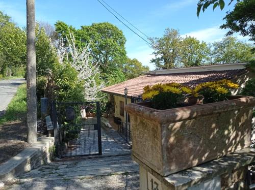 Tolfa Apartment | Casa dei Faggi