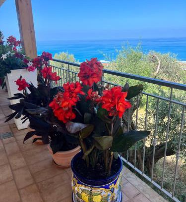 Belvedere Marittimo Bed & Breakfast | Casa dei fiori