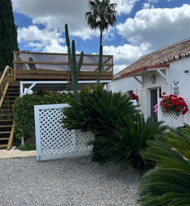 Tavira House | Casa do Meio- Farm house- Tavira