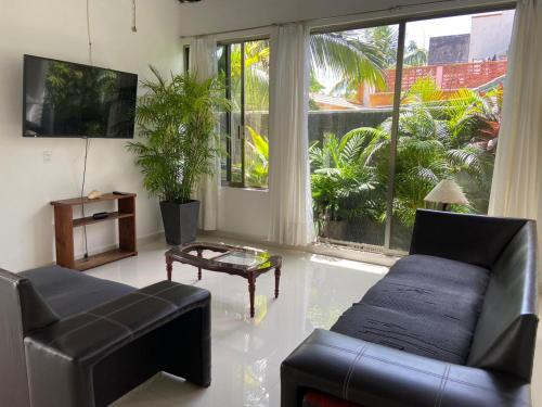 Colonia Flamingos Villa | Casa Donde Entra la Luz y Vive la Naturaleza CCTV