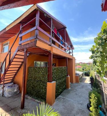 Techirghiol House | Casa Dorina