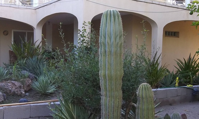 Loreto House | Casa Grande is all you are looking for, and more.