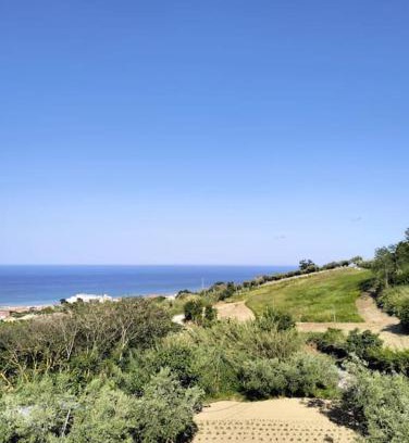 Silvi Apartment | Casa Green