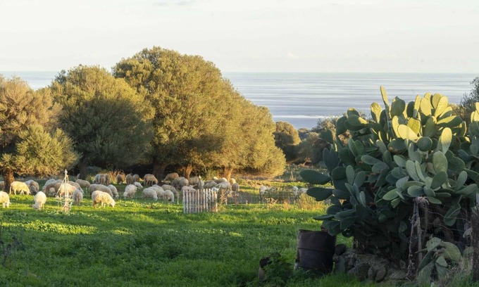 Galtelli Villa | Casa in Pietra in Dorgali