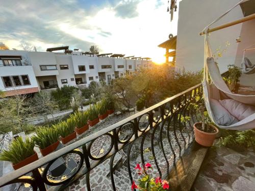 San Miguel de Allende Bed & Breakfast | Casa Itzae La Antigua Dog Friendly
