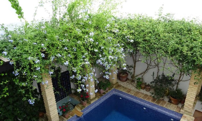 Medina-Sidonia House | Casa la Loba