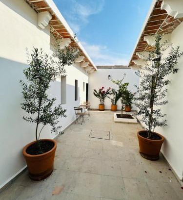 Centro House | Casa Limones Hermosa casa en el corazon de TX 4px