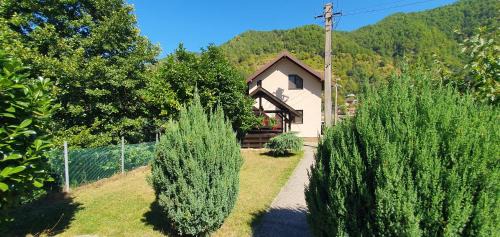 Malaia House | Casa Lotrilor