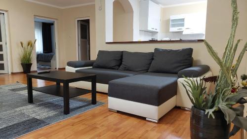 Oradea Apartment | Casa Mario