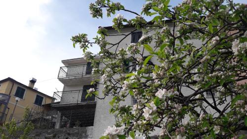 Borzonasca House | Casa Merei