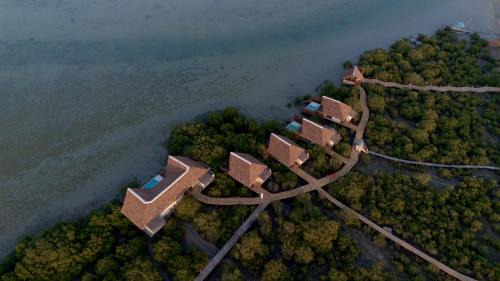 Dubai Hotel | Casa Mikoko Resort