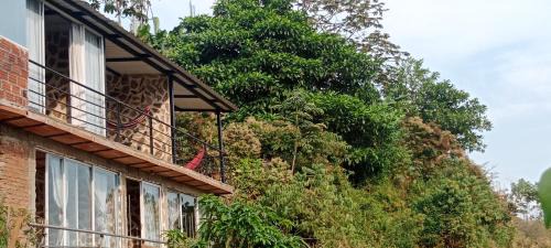 Cali Other | Casa oma