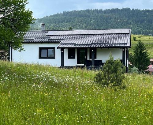 Toplita House | Casa Ranio