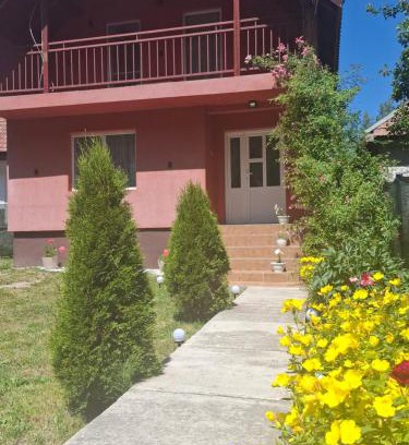 Toplita House | Casa Sandu