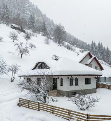 Moeciu de Sus House | Casa Sena