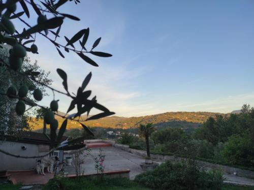 San Leucio del Sannio Apartment | Casa vacanze in famiglia relax e natura