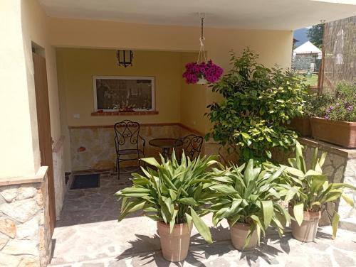 Sezze Apartment | Casa vacanza luisa