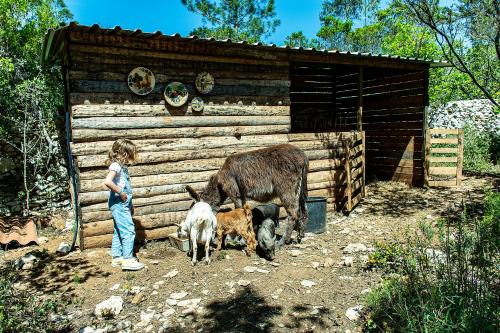 Alcobaca House | Casal das Fontainhas
