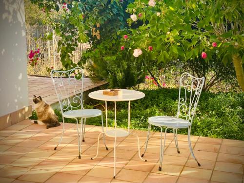 Trapani Bed & Breakfast | Casale Laurus