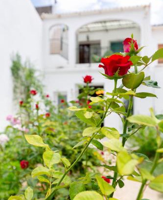 Orba House | Casas De Les Roses