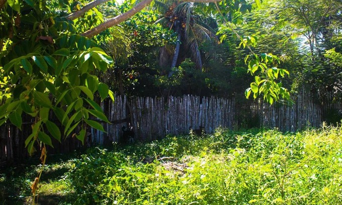 El Cuyo House | Casita Kuxtal El Cuyo