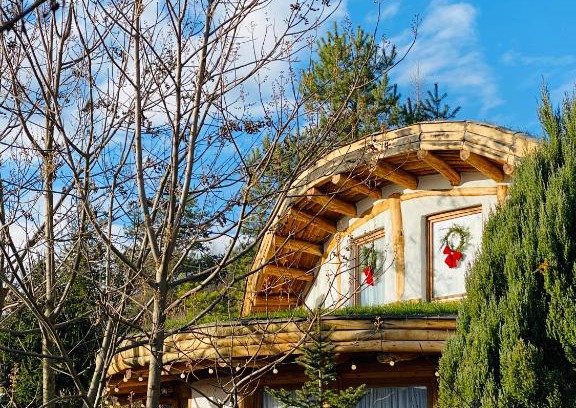 Sighisoara House | Casuta de lut
