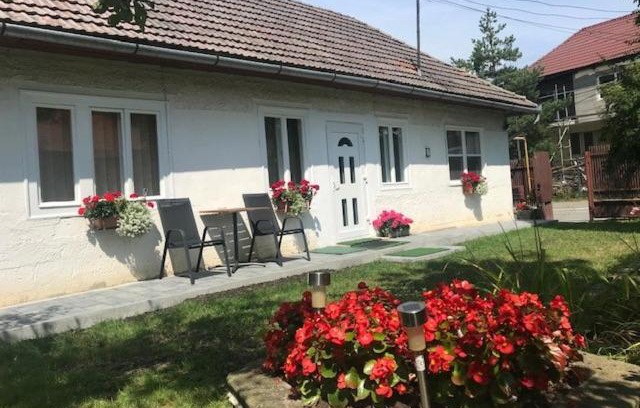 Covasna House | Casuta Sanatatii