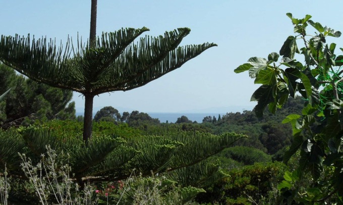 Cavaliere Apartment | Catering *, 68 m2, sea view