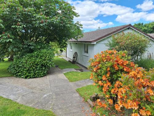 Holsworthy House | Cedar
