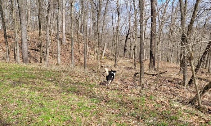 Freedom RV Rental | Celtic Glen Farm Stay - Lower Vistan