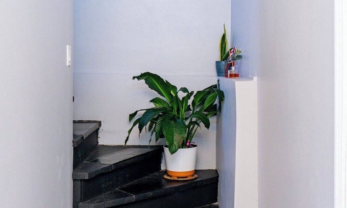 Welland House | Centre of Niagara Peninsula